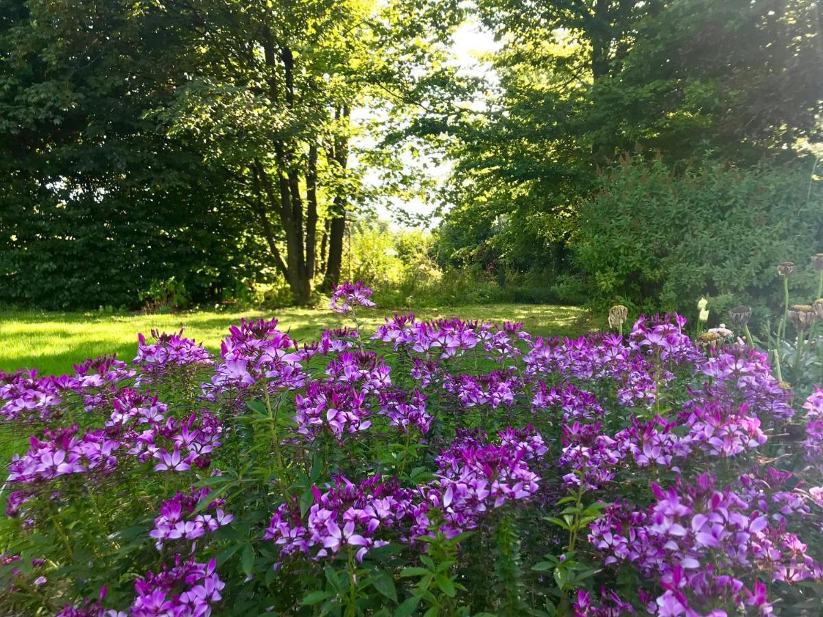 Bed and Breakfast "Un Matin Au Jardin" Francorchamps Exterior foto